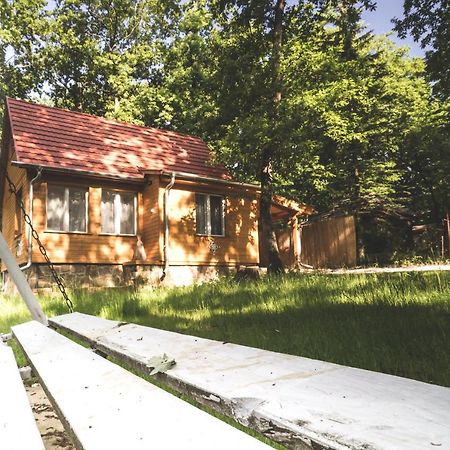Rozetta Vendeghaz Lägenhet Verőcemaros Exteriör bild